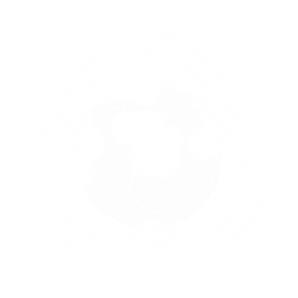 Peter J Lee – Author